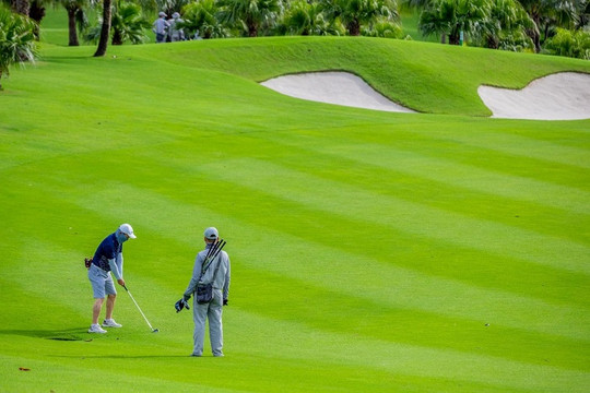 Phát triển du lịch golf để hút khách hạng sang