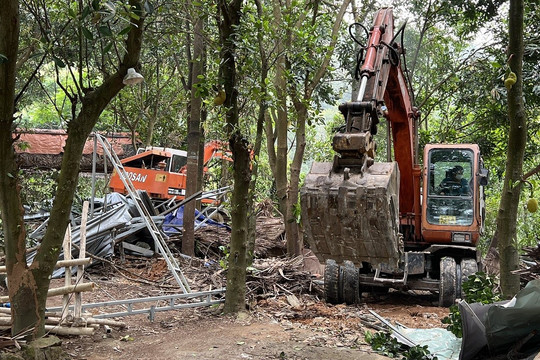 Đà Nẵng: 58 công trình xây dựng trái phép trên bán đảo Sơn Trà bị tháo dỡ