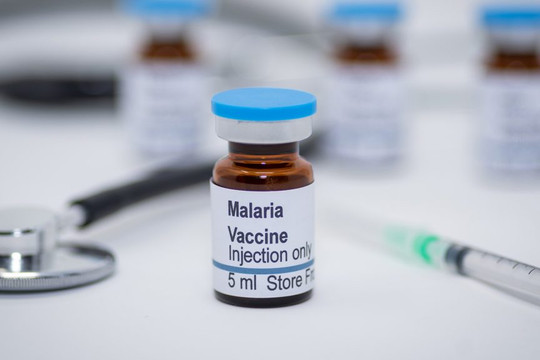 WHO kêu gọi tăng cường các biện pháp phòng, chống bệnh sốt rét