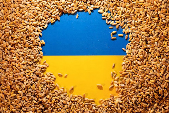 Nối lại hoạt động vận chuyển nông sản Ukraine với 5 quốc gia Liên minh châu Âu