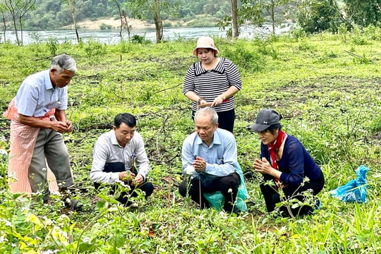 Cùng làm dịu nỗi đau chiến tranh