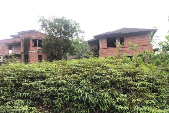 Xã Yên Bài (Ba Vì): Vì sao nhiều biệt thự xây thô bị bỏ hoang?