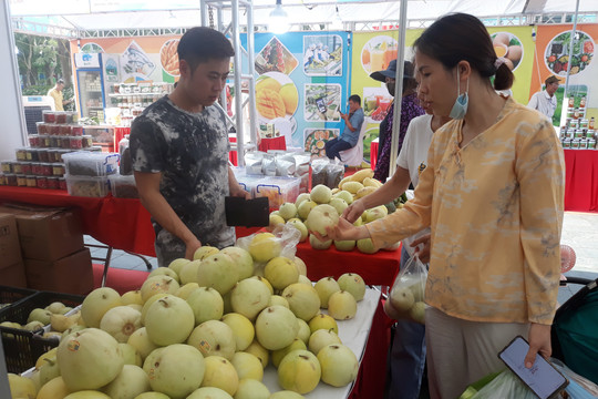 100 đơn vị tham gia Hội chợ nông sản thực phẩm an toàn thành phố Hà Nội năm 2023