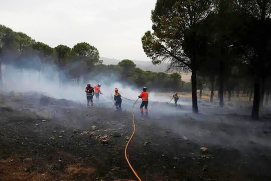 Cháy rừng ở Tây Ban Nha, 550 người phải rời bỏ nhà cửa