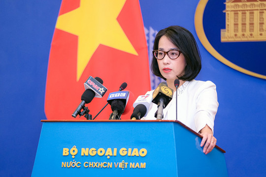 Yêu cầu Trung Quốc chấm dứt ngay hoạt động xâm phạm vùng biển Việt Nam