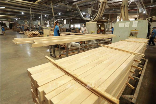 Đã hoàn 19.100 tỷ đồng thuế GTGT với mặt hàng gỗ
