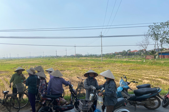 Mê Linh: Có hay không việc ''bảo kê'' máy gặt ở xã Thạch Đà?