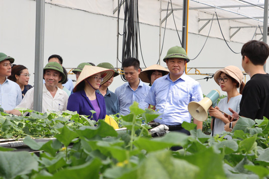 Đẩy mạnh hợp tác giữa Viện Khoa học nông nghiệp Việt Nam và ngành Nông nghiệp Thủ đô