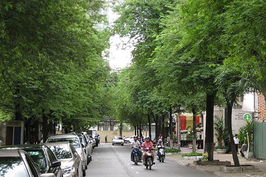 Chuyện 27 cây me ở Hà Nội
