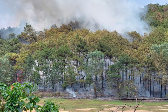 Hà Nội: Liên tiếp xảy ra 2 vụ cháy rừng ở Sóc Sơn
