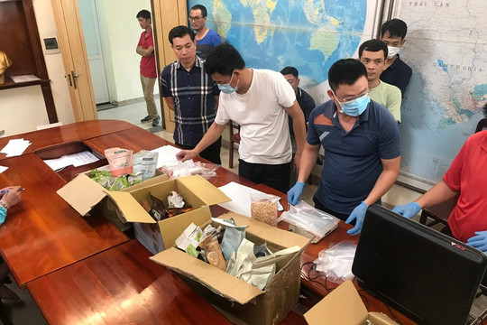 Triệt phá chuyên án mua bán, vận chuyển trái phép chất ma túy từ châu Âu về Việt Nam