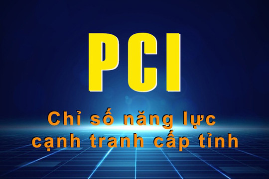Hà Nội: Nâng cao thứ hạng Chỉ số PCI và cải thiện Chỉ số PGI