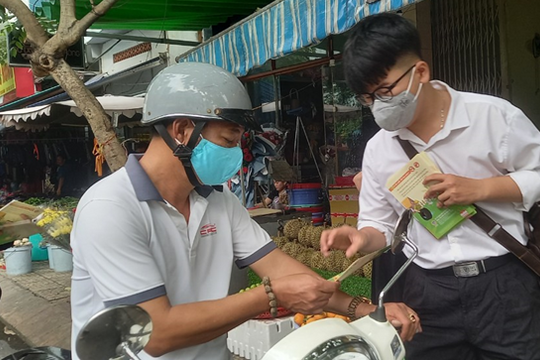 Tổ chức nhiều hoạt động nhân Ngày ASEAN phòng, chống sốt xuất huyết