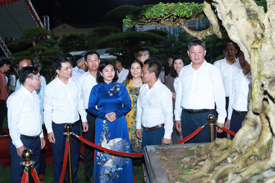 Huyện Thạch Thất khai mạc triển lãm giới thiệu sản phẩm làng nghề, OCOP và sinh vật cảnh