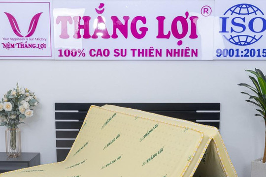 Top 3 loại nệm gấp giá rẻ tốt nhất và địa chỉ mua uy tín tại thành phố Hồ Chí Minh