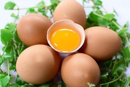 Cách lựa chọn trứng gà sạch, bảo đảm an toàn