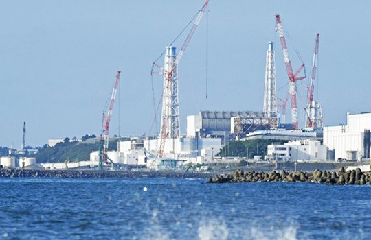 Tổng Giám đốc IAEA xác nhận độ an toàn khi Fukushima xả thải ra biển