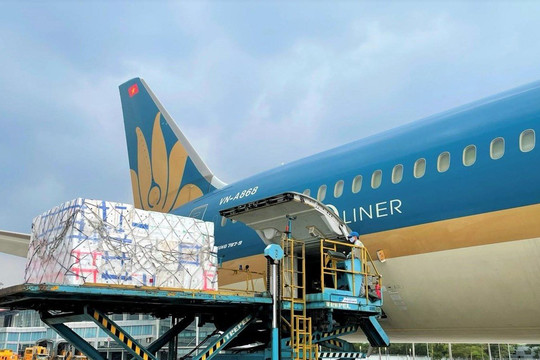 Vận chuyển vải quả đi quốc tế của Vietnam Airlines tăng 200% so cùng kỳ