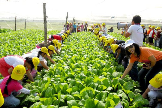 Nâng tầm thương hiệu du lịch nông nghiệp, nông thôn Hà Nội