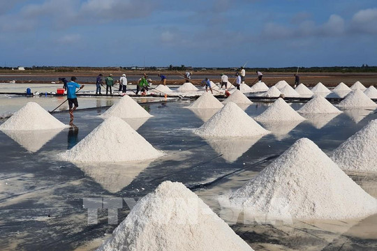 Việt Nam có hơn 11.000ha diện tích sản xuất muối