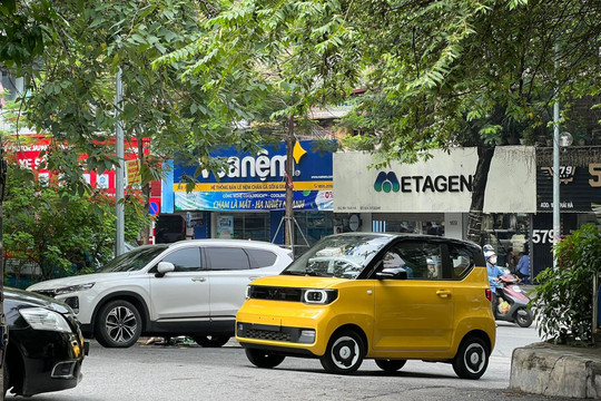Ô tô “xanh” tiếp tục khẳng định chỗ đứng tại Việt Nam