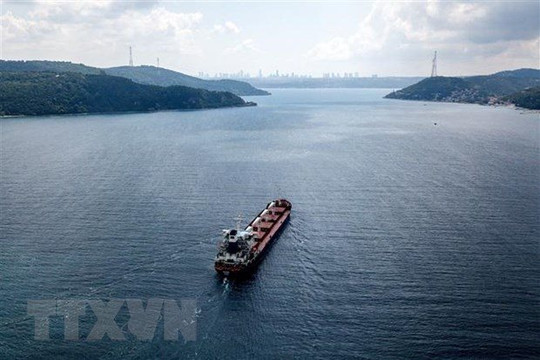 Thổ Nhĩ Kỳ: Nga đã nhất trí gia hạn Thỏa thuận ngũ cốc Biển Đen