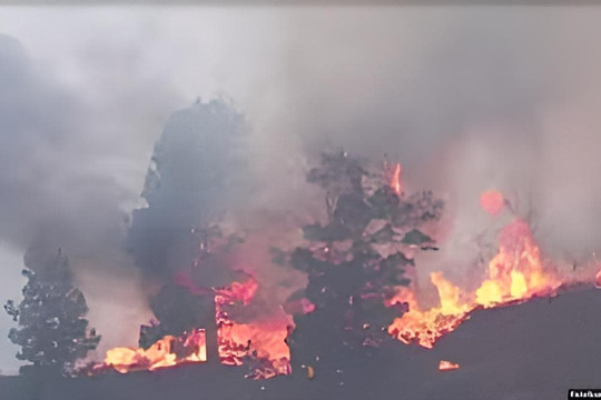 Cháy rừng La Palma ( Tây Ban Nha): Hơn 2.000 người sơ tán,  lửa lan rộng ngoài tầm kiểm soát