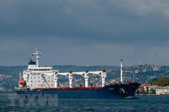Nga dừng tham gia Thỏa thuận ngũ cốc Biển Đen