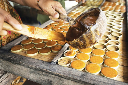 Độc đáo nghề nấu đường thốt nốt ở Kiên Giang
