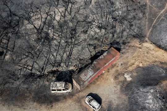 Cháy rừng bao trùm Địa Trung Hải, người cao tuổi bị chết cháy trong nhà