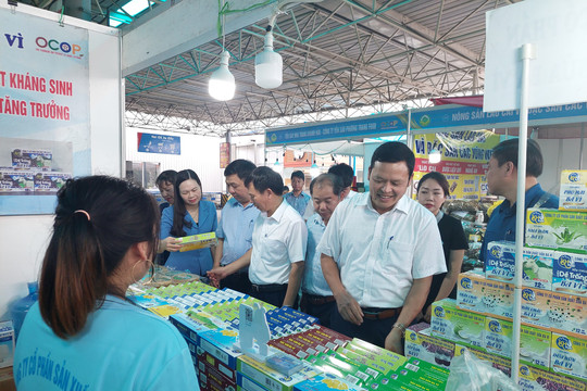 Hàng nghìn sản phẩm OCOP, làng nghề, nông sản đến với người tiêu dùng Hà Nội 