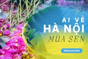 Ai về Hà Nội mùa sen...