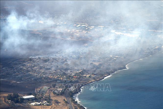 Số người thiệt mạng do cháy rừng ở Hawaii (Mỹ) tăng lên 53