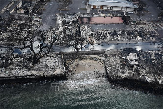 Thảm họa cháy rừng ở Hawaii (Mỹ): Số người thiệt mạng lên tới 67