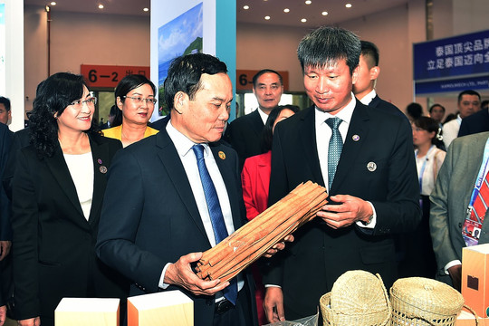 Phó Thủ tướng Trần Lưu Quang thăm, làm việc tại tỉnh Vân Nam, Trung Quốc