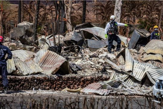 850 người vẫn mất tích trong vụ cháy rừng ở Hawaii