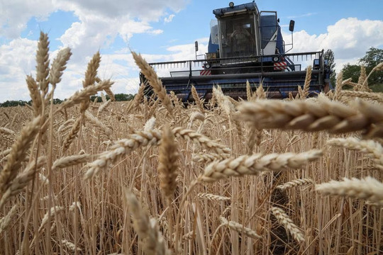 Thổ Nhĩ Kỳ khẳng định nỗ lực “giải cứu” thỏa thuận ngũ cốc