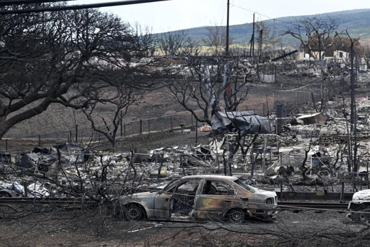 Số người mất tích trong vụ cháy rừng ở Hawaii lên tới 1.100 người