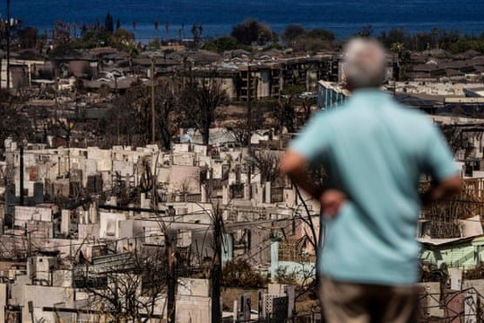 Cháy rừng ở Hawaii (Mỹ): Hơn 100 người ra trình báo sau khi được liệt vào danh sách mất tích