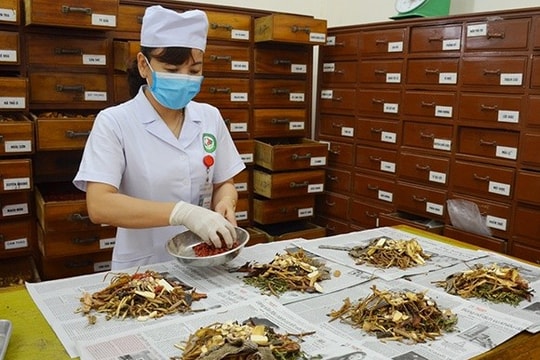 Hơn 100 thuốc, vị thuốc y học cổ truyền, được gia hạn, cấp mới giấy lưu hành