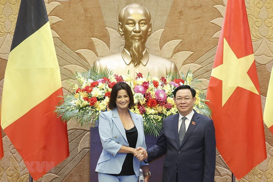Chủ tịch Thượng viện Bỉ kết thúc tốt đẹp chuyến thăm chính thức Việt Nam