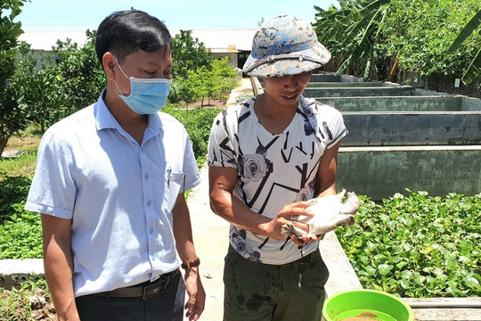 Phú Xuyên phát triển chăn nuôi thủy sản