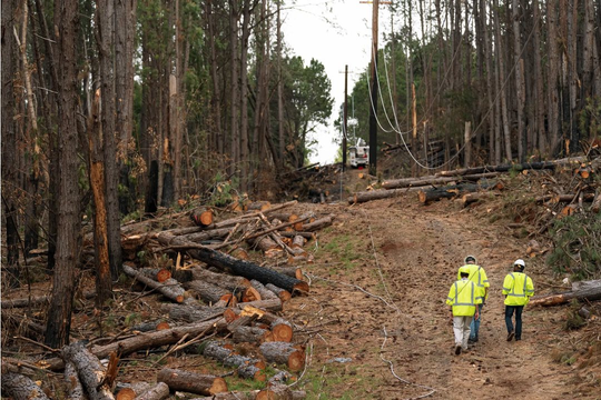 Thảm họa cháy rừng Hawaii: Chuyển sang giai đoạn loại bỏ chất thải độc hại