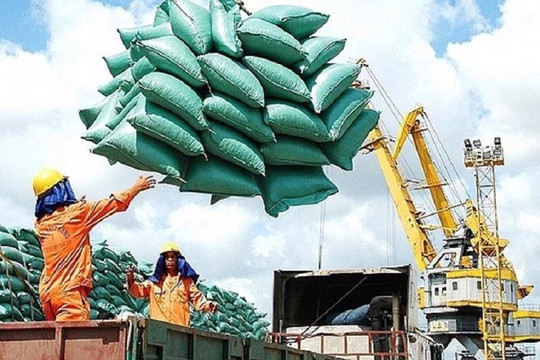 Giá gạo xuất khẩu của Việt Nam tăng 11,5%