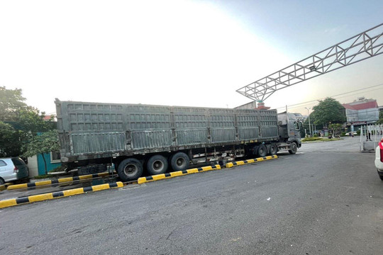 Xử lý nghiêm xe container hoán cải chở vật liệu xây dựng về Hà Nội