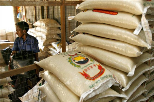 Thái Lan không hạn chế xuất khẩu gạo