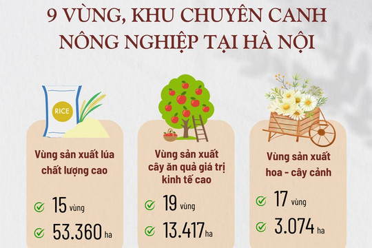 9 vùng sản xuất nông nghiệp chuyên canh tập trung tại Hà Nội