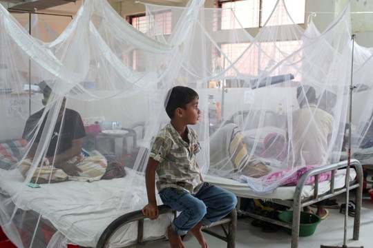 Bangladesh chật vật đối phó dịch sốt xuất huyết, 778 người tử vong