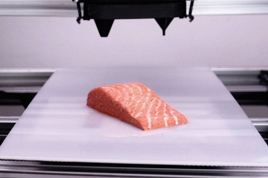 Cá hồi làm bằng... công nghệ in thực phẩm 3D
