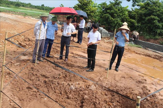 Khai quật khảo cổ khẩn cấp kiến trúc mộ gạch tại xã Hồng Hà, huyện Đan Phượng